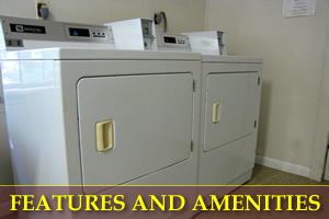 Features and Amenities
